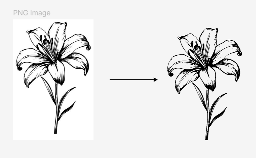 Extracting flower vector in Figma