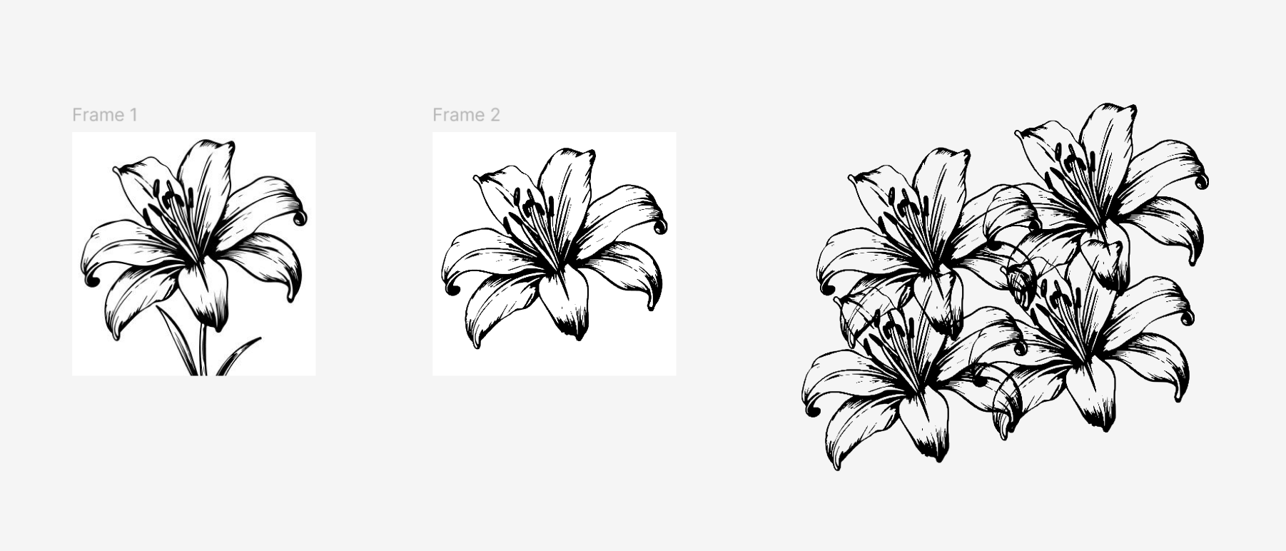 Aerial view of flowers