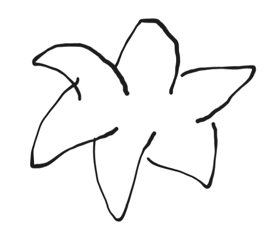 Sketch of petals